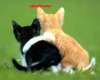 SKALBRATOR